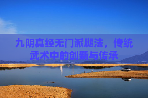 九阴真经无门派腿法,传统武术中的创新与传承 九阴真经无门派腿法,传统武术中的创新与传承