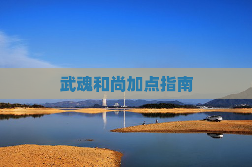 武魂和尚加点指南 武魂和尚加点指南