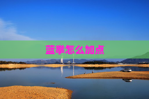 蓝拳怎么加点 蓝拳怎么加点