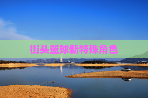 街头篮球新特殊角色 街头篮球新特殊角色