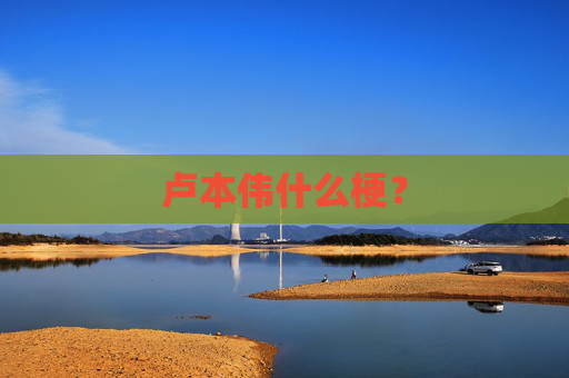 卢本伟什么梗？