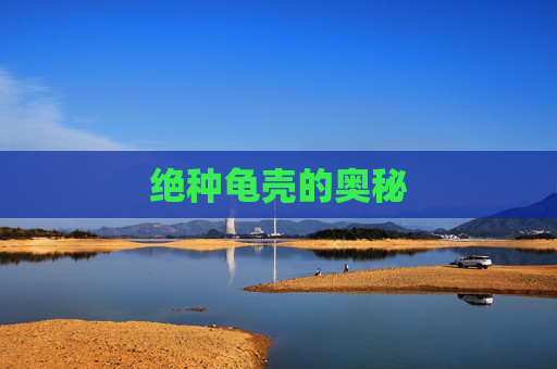 绝种龟壳的奥秘 绝种龟壳的奥秘