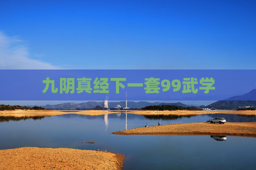 九阴真经下一套99武学