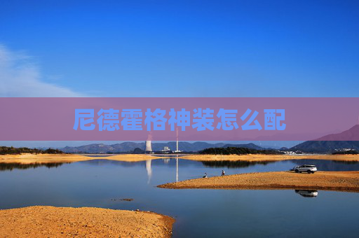 尼德霍格神装怎么配