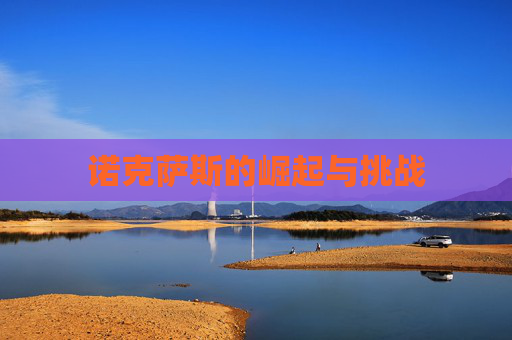 诺克萨斯的崛起与挑战 诺克萨斯的崛起与挑战