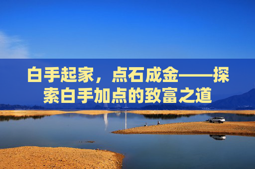 白手起家,点石成金——探索白手加点的致富之道 白手起家,点石成金——探索白手加点的致富之道