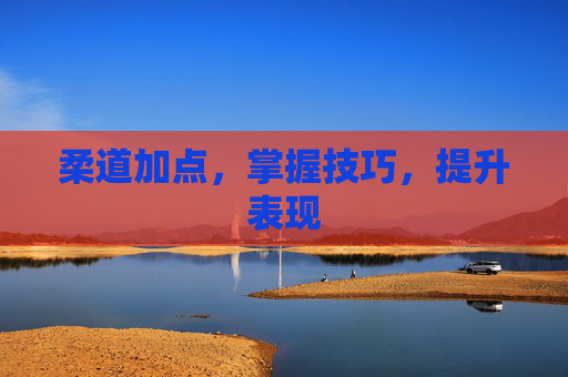 柔道加点,掌握技巧,提升表现 柔道加点,掌握技巧,提升表现