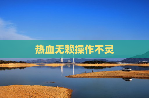 热血无赖操作不灵