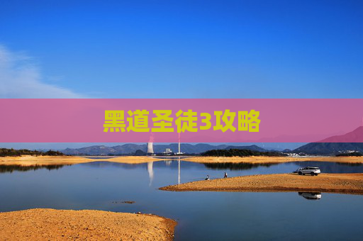 黑道圣徒3攻略 黑道圣徒3攻略