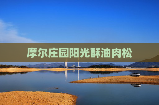 摩尔庄园阳光酥油肉松