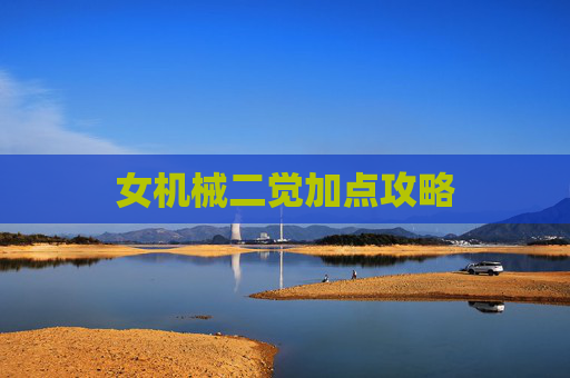 女机械二觉加点攻略