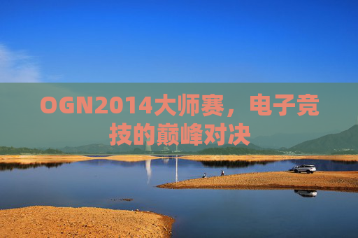 OGN2014大师赛，电子竞技的巅峰对决