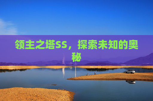 领主之塔SS,探索未知的奥秘 领主之塔SS,探索未知的奥秘