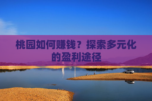 桃园如何赚钱?探索多元化的盈利途径 桃园如何赚钱?探索多元化的盈利途径