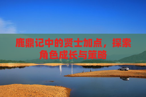 鹿鼎记中的贤士加点,探索角色成长与策略 鹿鼎记中的贤士加点,探索角色成长与策略