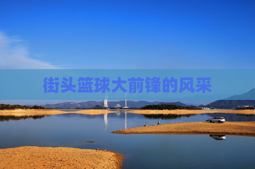 街头篮球大前锋的风采