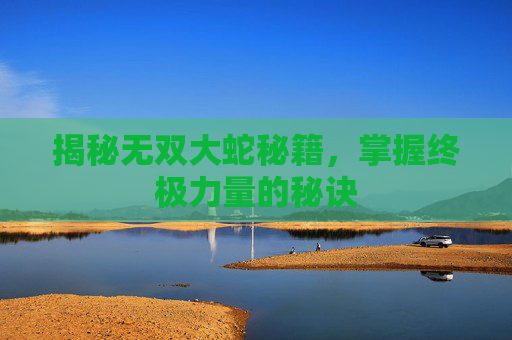 揭秘无双大蛇秘籍，掌握终极力量的秘诀