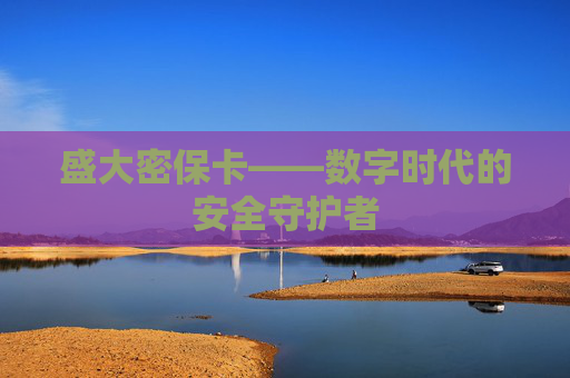 盛大密保卡——数字时代的安全守护者 盛大密保卡——数字时代的安全守护者