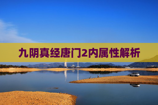 九阴真经唐门2内属性解析