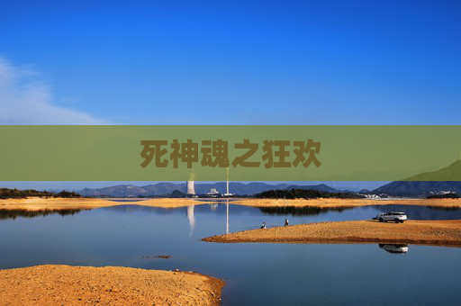 死神魂之狂欢