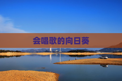 会唱歌的向日葵 会唱歌的向日葵