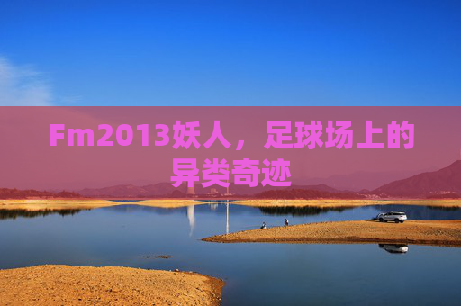 Fm2013妖人,足球场上的异类奇迹 Fm2013妖人,足球场上的异类奇迹