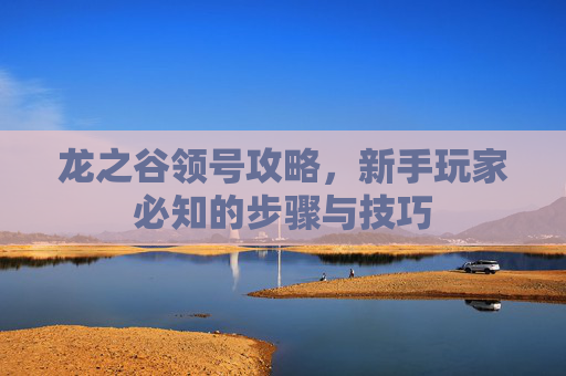 龙之谷领号攻略,新手玩家必知的步骤与技巧 龙之谷领号攻略,新手玩家必知的步骤与技巧