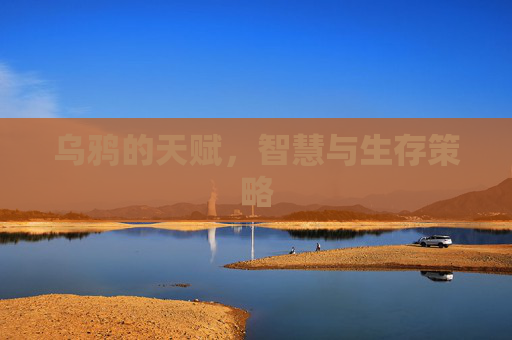 乌鸦的天赋,智慧与生存策略 乌鸦的天赋,智慧与生存策略