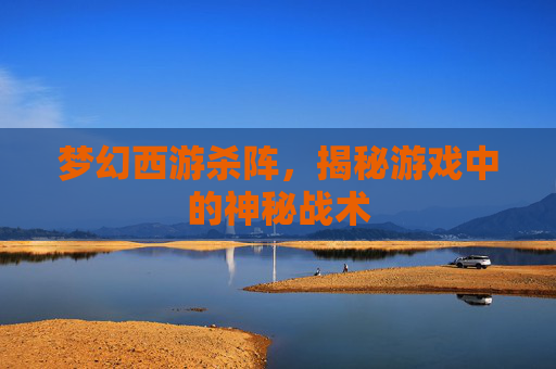 梦幻西游杀阵,揭秘游戏中的神秘战术 梦幻西游杀阵,揭秘游戏中的神秘战术
