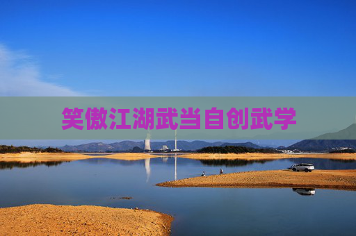 笑傲江湖武当自创武学