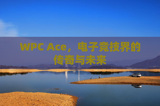 WPC Ace,电子竞技界的传奇与未来 WPC Ace,电子竞技界的传奇与未来
