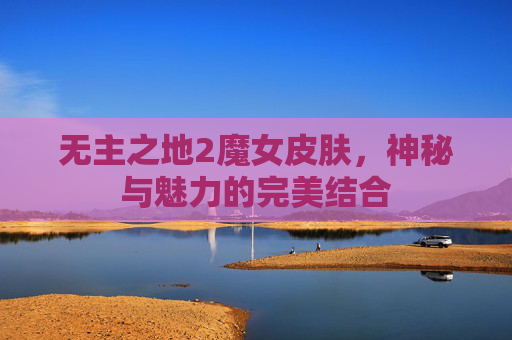 无主之地2魔女皮肤，神秘与魅力的完美结合