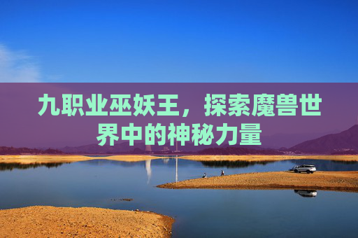 九职业巫妖王，探索魔兽世界中的神秘力量