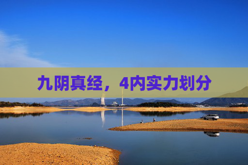九阴真经，4内实力划分