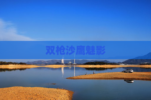 双枪沙鹰魅影 双枪沙鹰魅影
