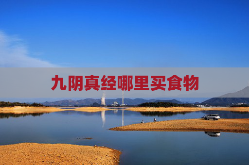 九阴真经哪里买食物
