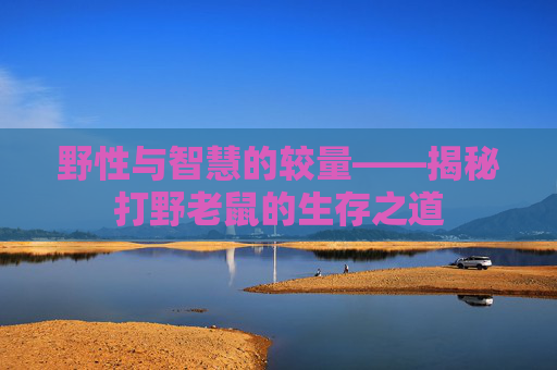 野性与智慧的较量——揭秘打野老鼠的生存之道 野性与智慧的较量——揭秘打野老鼠的生存之道