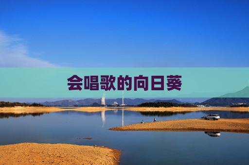 会唱歌的向日葵 会唱歌的向日葵