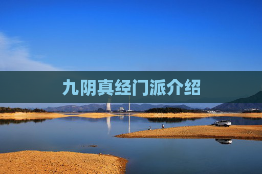 九阴真经门派介绍 九阴真经门派介绍