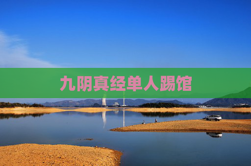 九阴真经单人踢馆 九阴真经单人踢馆