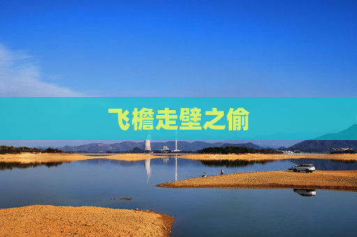 飞檐走壁之偷 飞檐走壁之偷