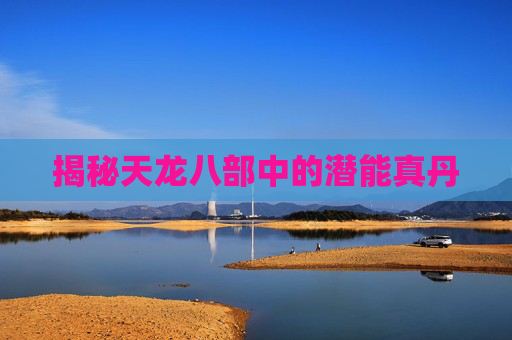 揭秘天龙八部中的潜能真丹 揭秘天龙八部中的潜能真丹