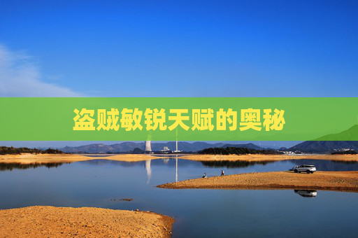 盗贼敏锐天赋的奥秘 盗贼敏锐天赋的奥秘