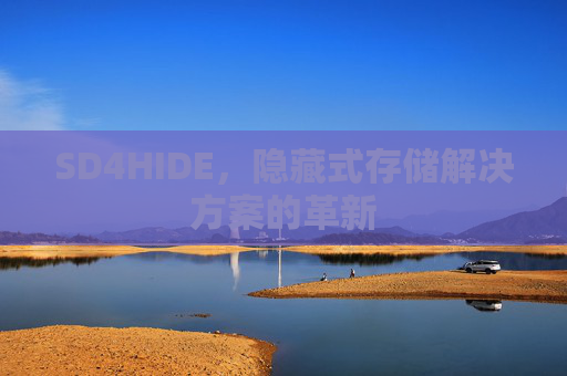 SD4HIDE,隐藏式存储解决方案的革新 SD4HIDE,隐藏式存储解决方案的革新