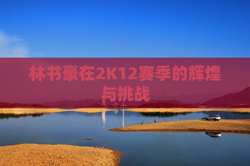 林书豪在2K12赛季的辉煌与挑战