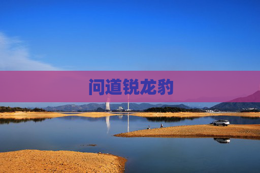 问道锐龙豹 问道锐龙豹