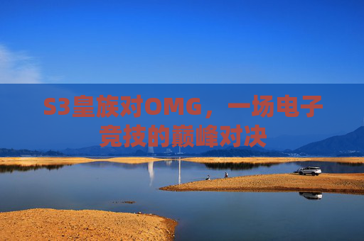 S3皇族对OMG,一场电子竞技的巅峰对决 S3皇族对OMG,一场电子竞技的巅峰对决