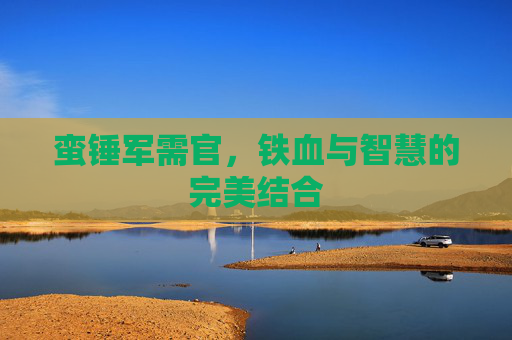 蛮锤军需官,铁血与智慧的完美结合 蛮锤军需官,铁血与智慧的完美结合