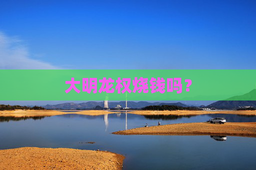 大明龙权烧钱吗? 大明龙权烧钱吗?