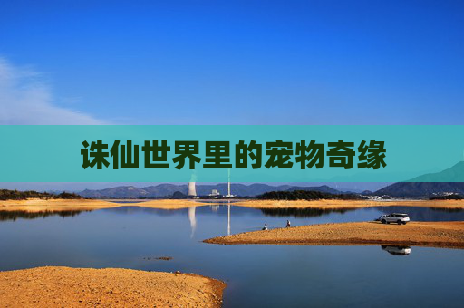 诛仙世界里的宠物奇缘 诛仙世界里的宠物奇缘